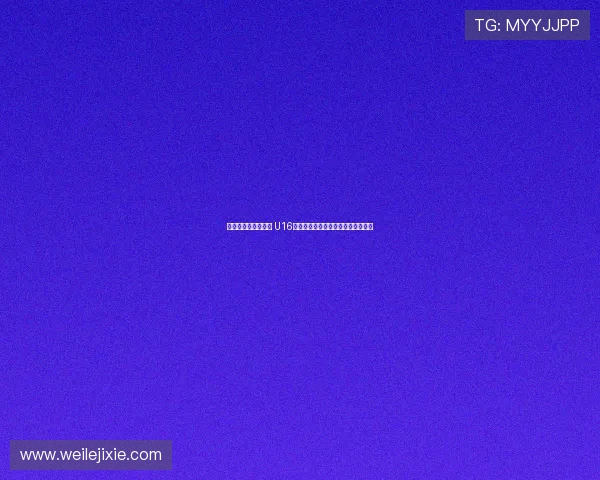 感受德甲级训练氛围 U16国少队深入门兴格拉德巴赫参观交流